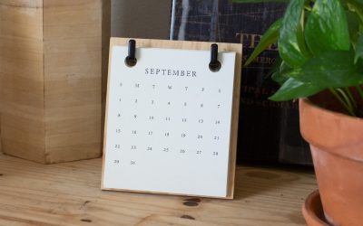 Developing a Long-Term Music Promotion Strategy: A Blueprint