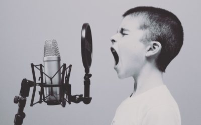 Grow Your Fanbase on Instagram Without Paid Ads